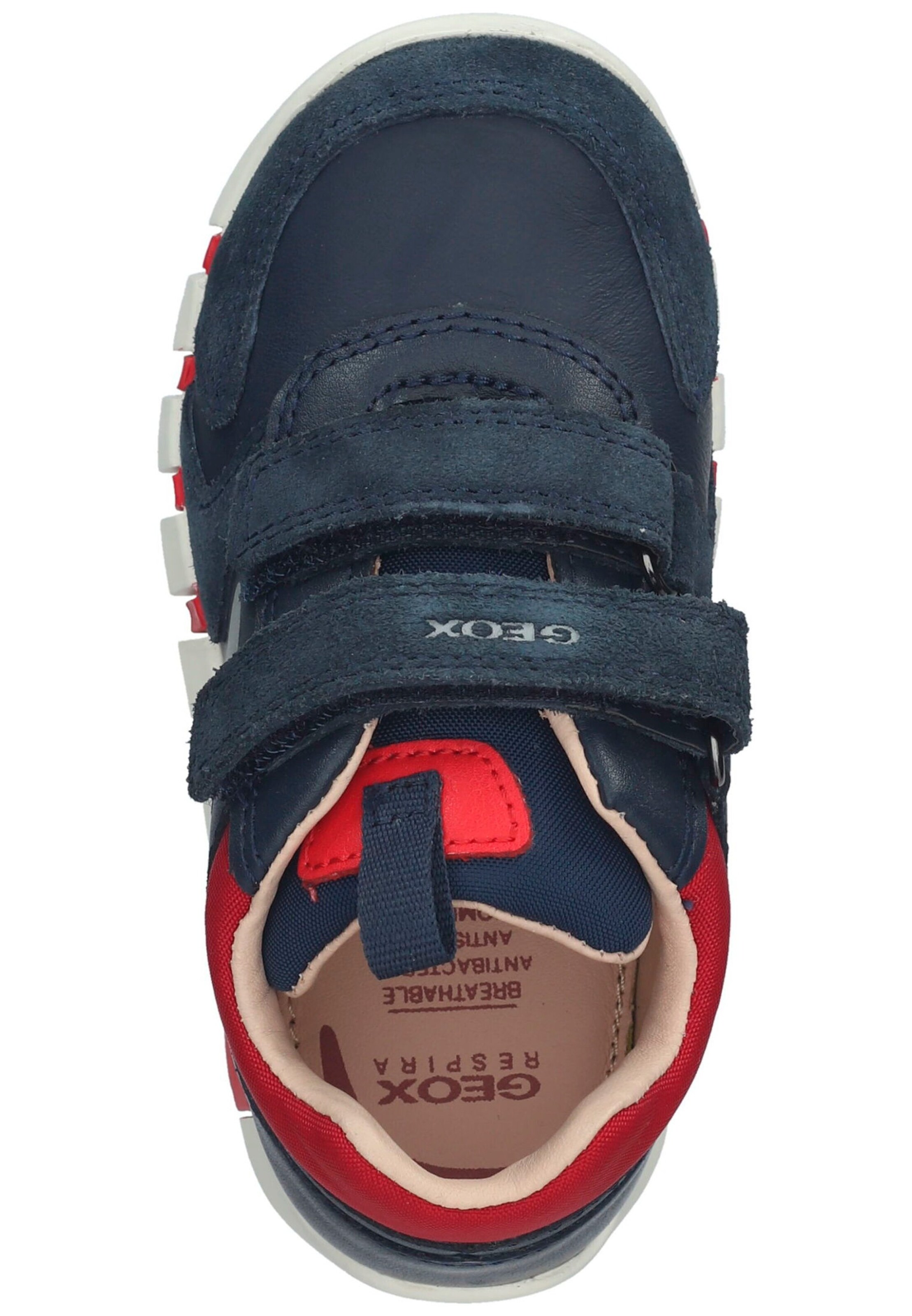 GEOX Sneaker Navy/Rot