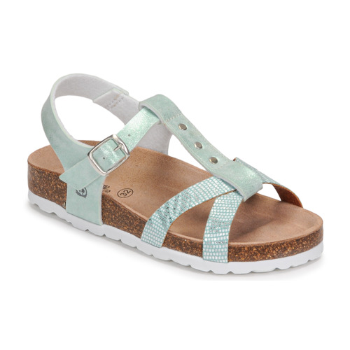 Citrouille et Compagnie - PAPOTI - Vert