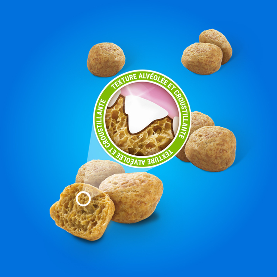 Friandises au Saumon pour Chat - 40g