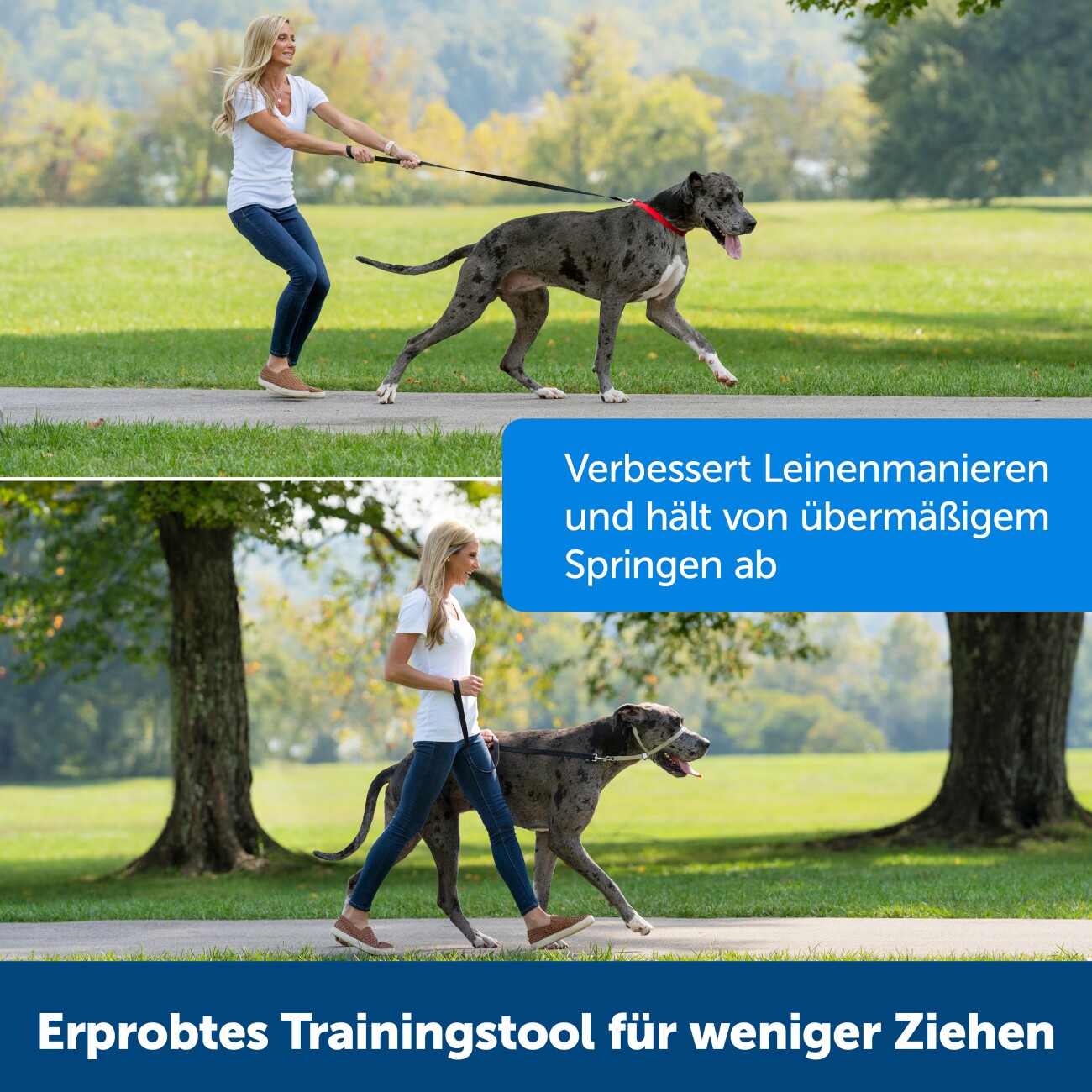 PetSafe Easy Walk Hundekopfhalfter L