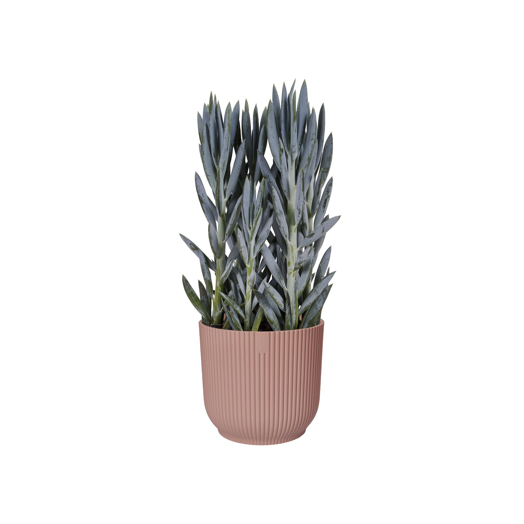 elho Vibes Fold Bloempot Ã 30 cm