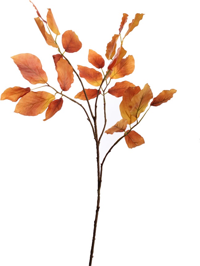 Jasaco Pure kunsttak Beuk 66 cm oranje