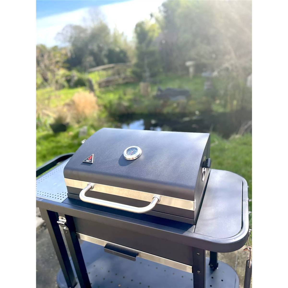 Barbecue charbon start'n'grill à allumage automatique