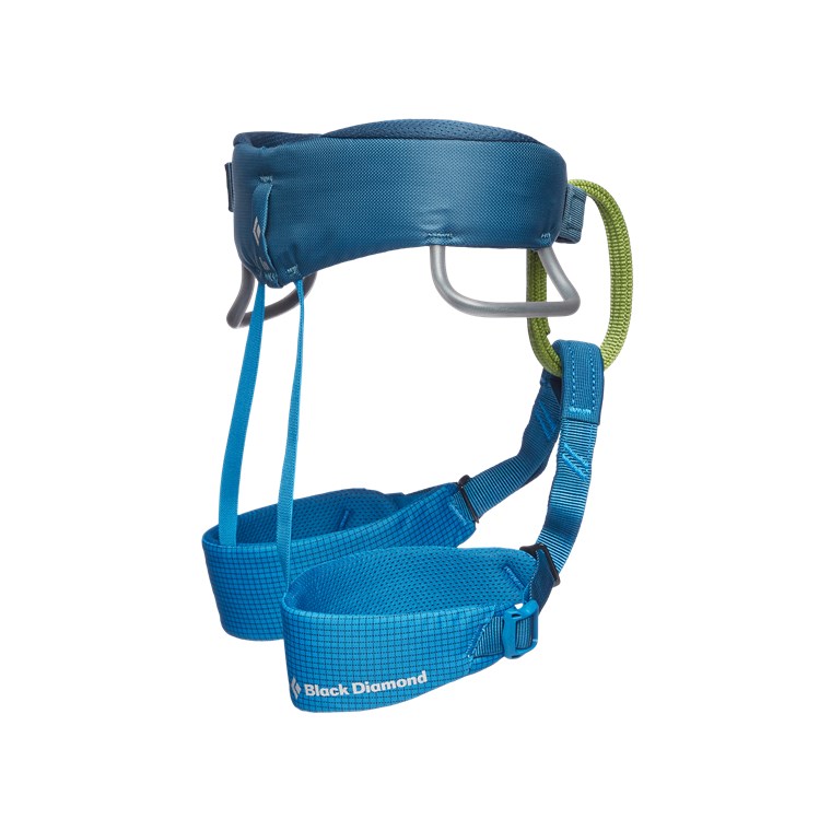 Black Diamond Momentum Harness - Kids' Kingfisher