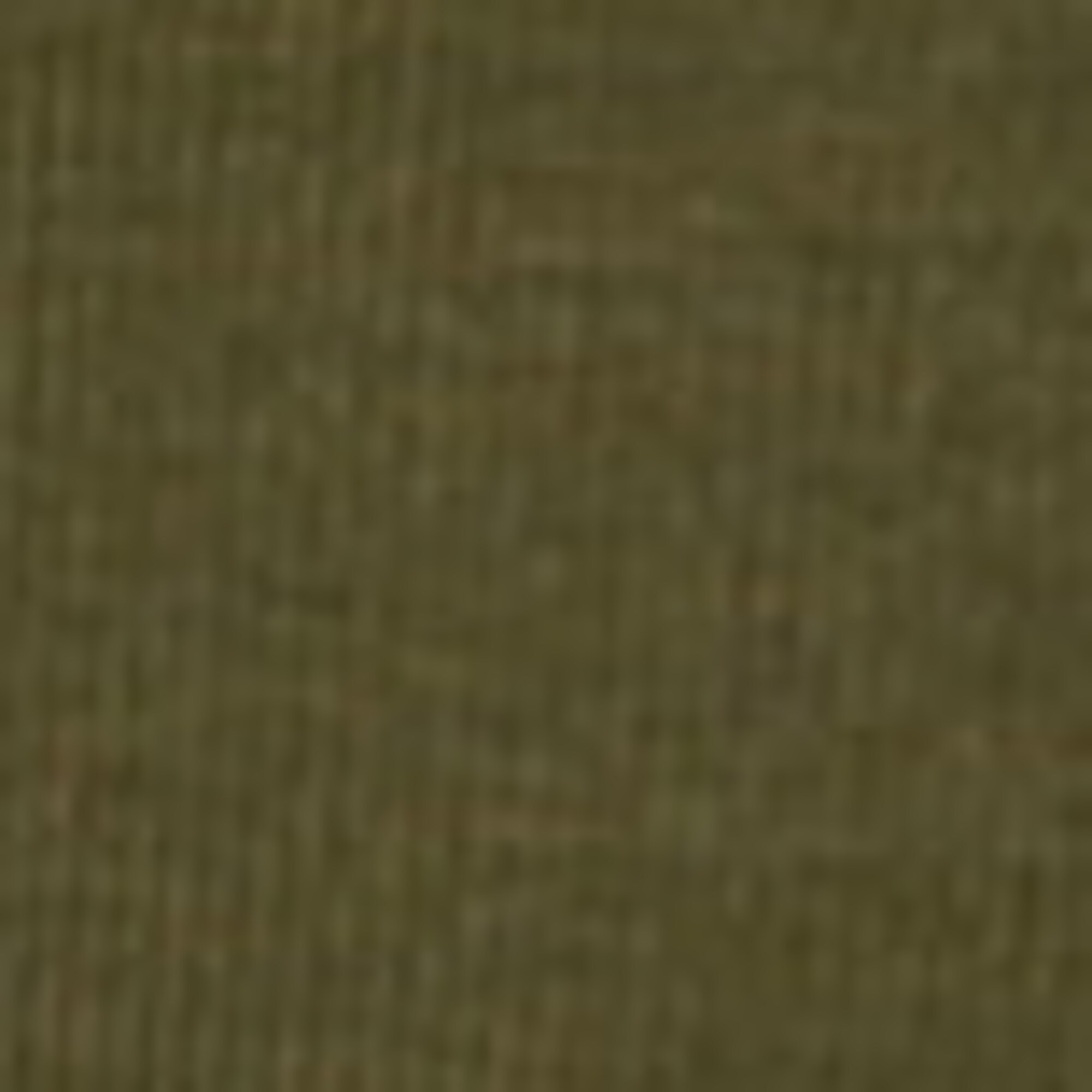 Jersey-Kleid aus Organic Cotton