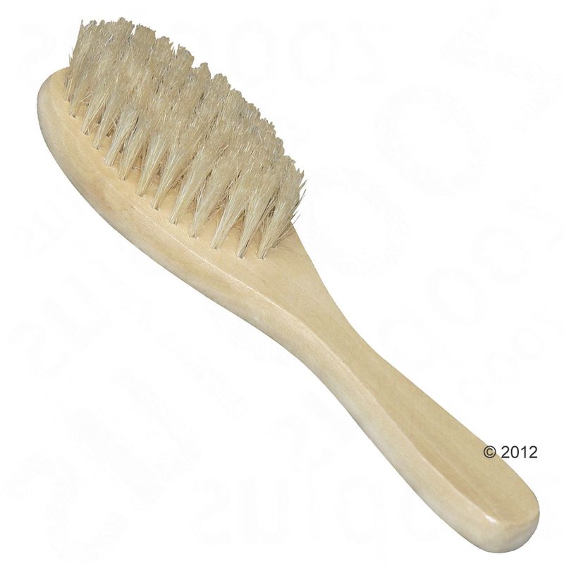 Brosse en poils naturels