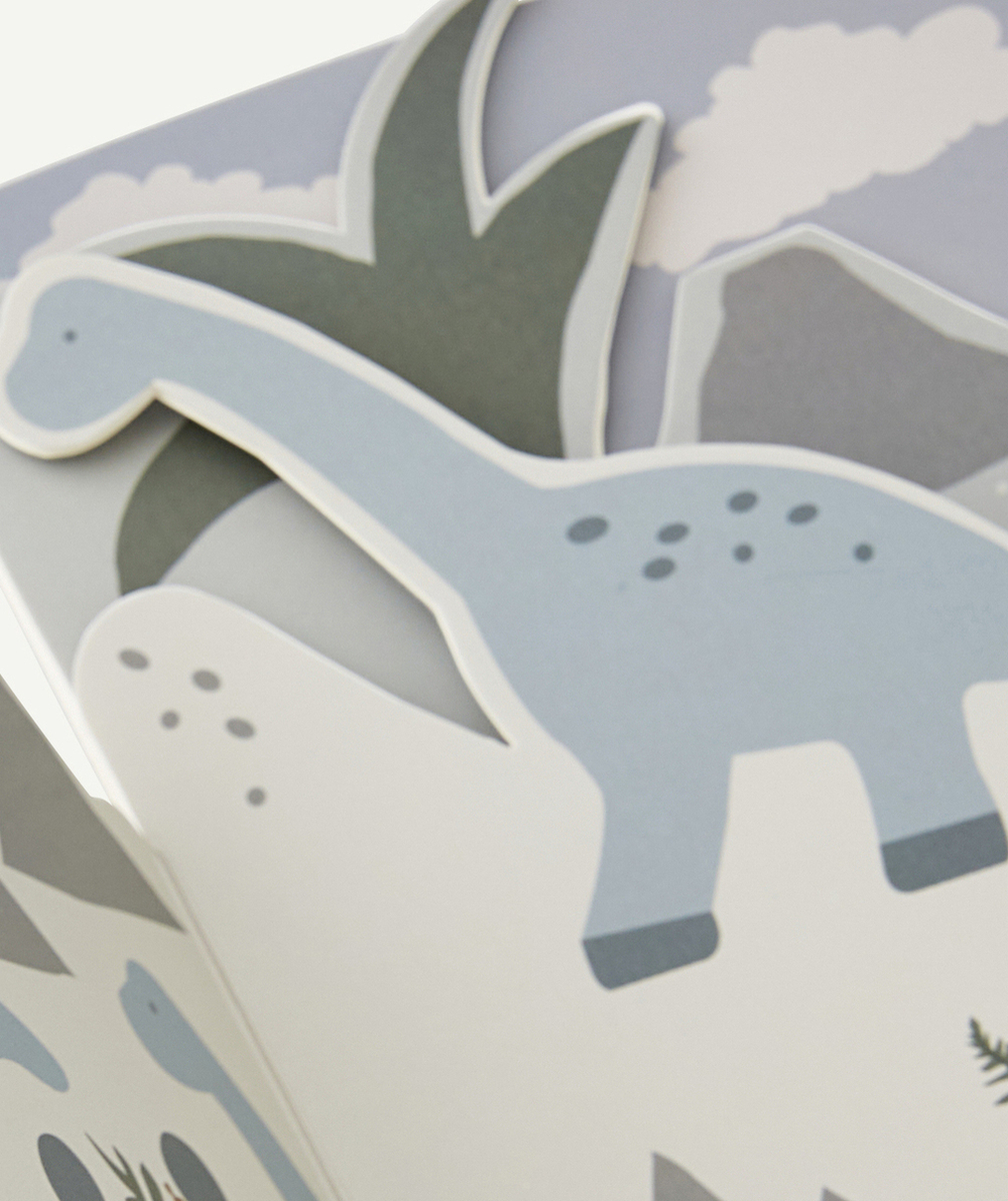 LIEWOODLIVRE DE FORMES JADE DINOSAURES