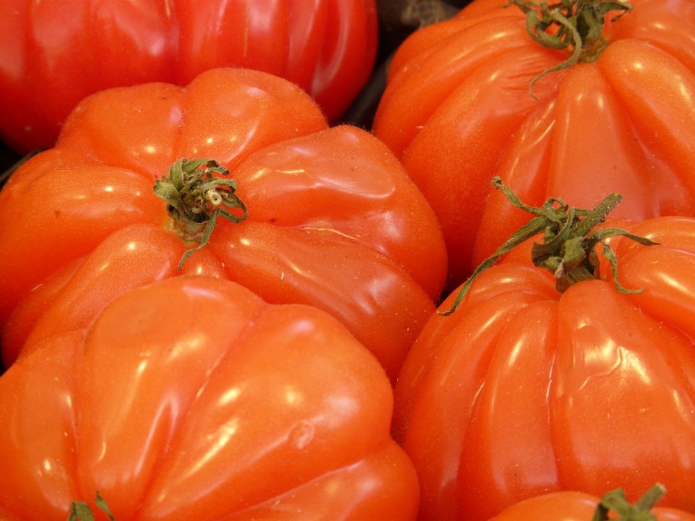 Sachet de graines de tomates cœur de boeuf - sachet de 0,5 grammes - petite entreprise française - made in france
