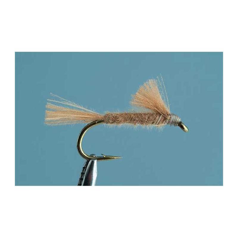 Mouche Tof Chiros Dry - Clair