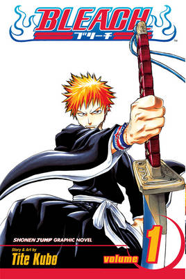 Bleach, Vol. 1 - Bleach 1 (Paperback)
