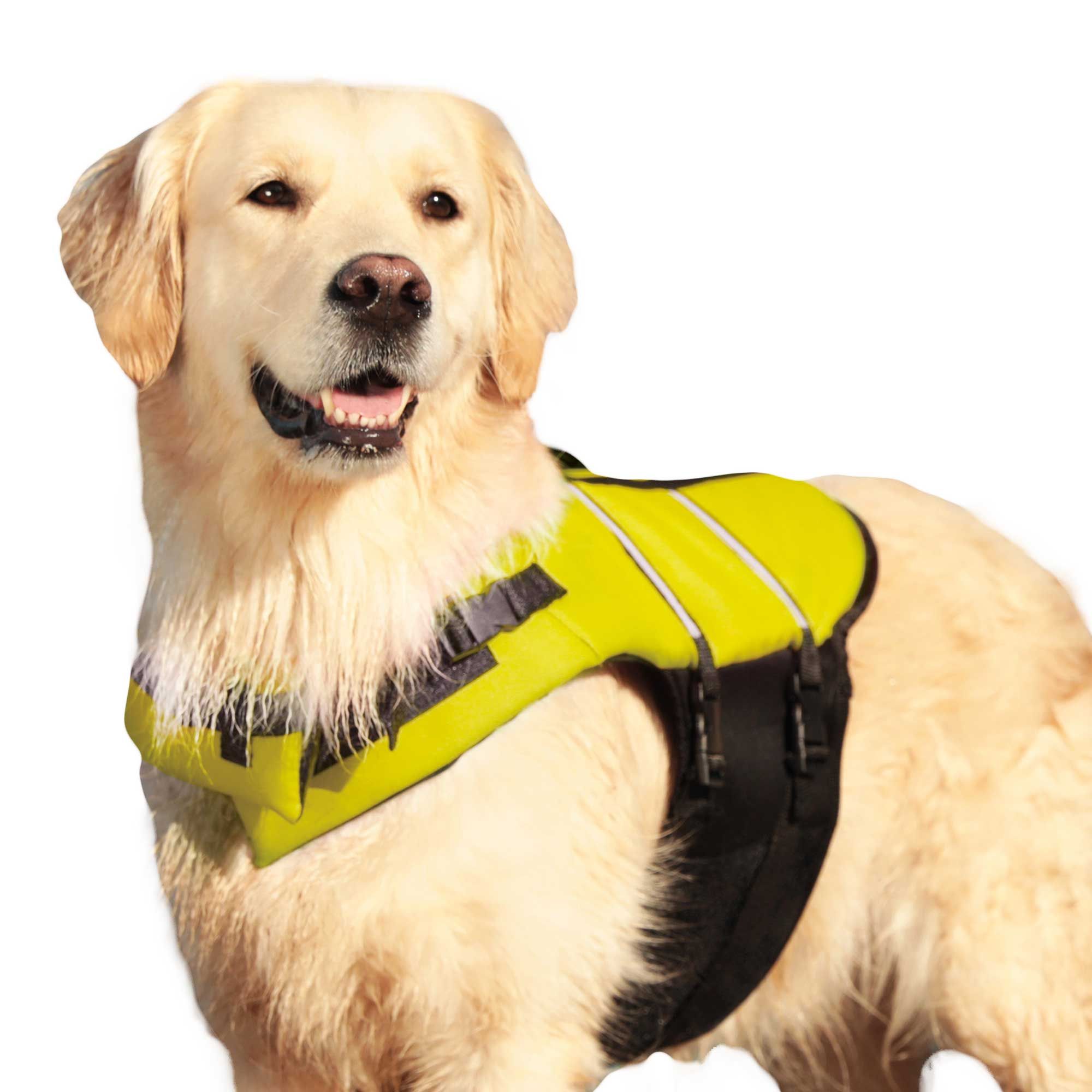 Hunde Rettungsweste - gut sichtbare Schwimmweste für alle Hunde