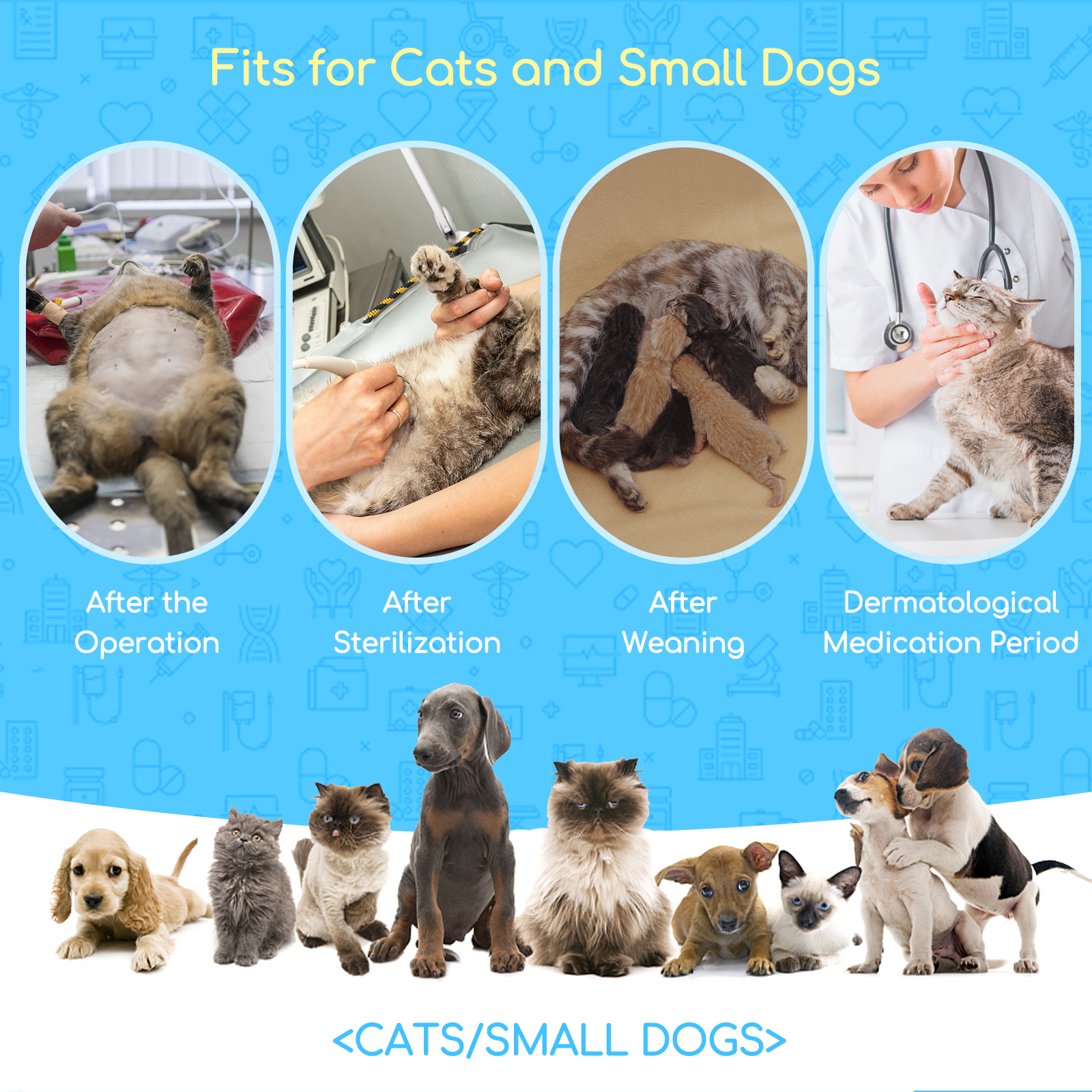 Nobleza - Colete de Recuperação para Cães e Gatos, Roupa de Recuperação Pós-Cirúrgica, Protetor de Ferida Abdominal, Colete de Recuperação Respirável para Gatos e Cães de Pequeno Porte (Azul, M)