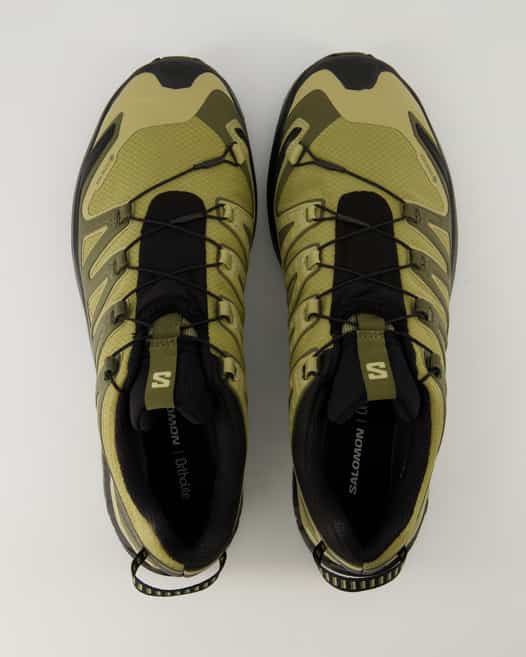 Salomon XA PRO 3D V9 Wanderschuhe in Grün