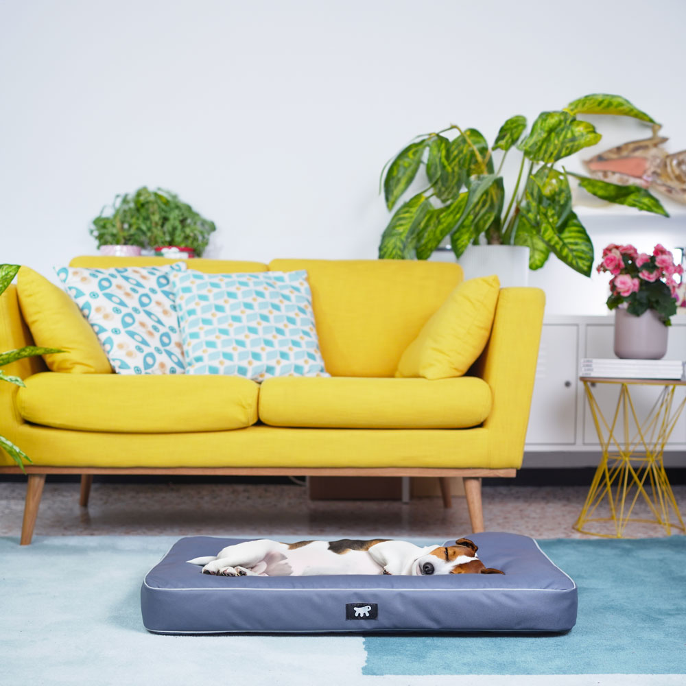 Ferplast panier chien chat - coussin orthopédique chien - lavable en machine - tapis chien - lit chat chien - imperméable &