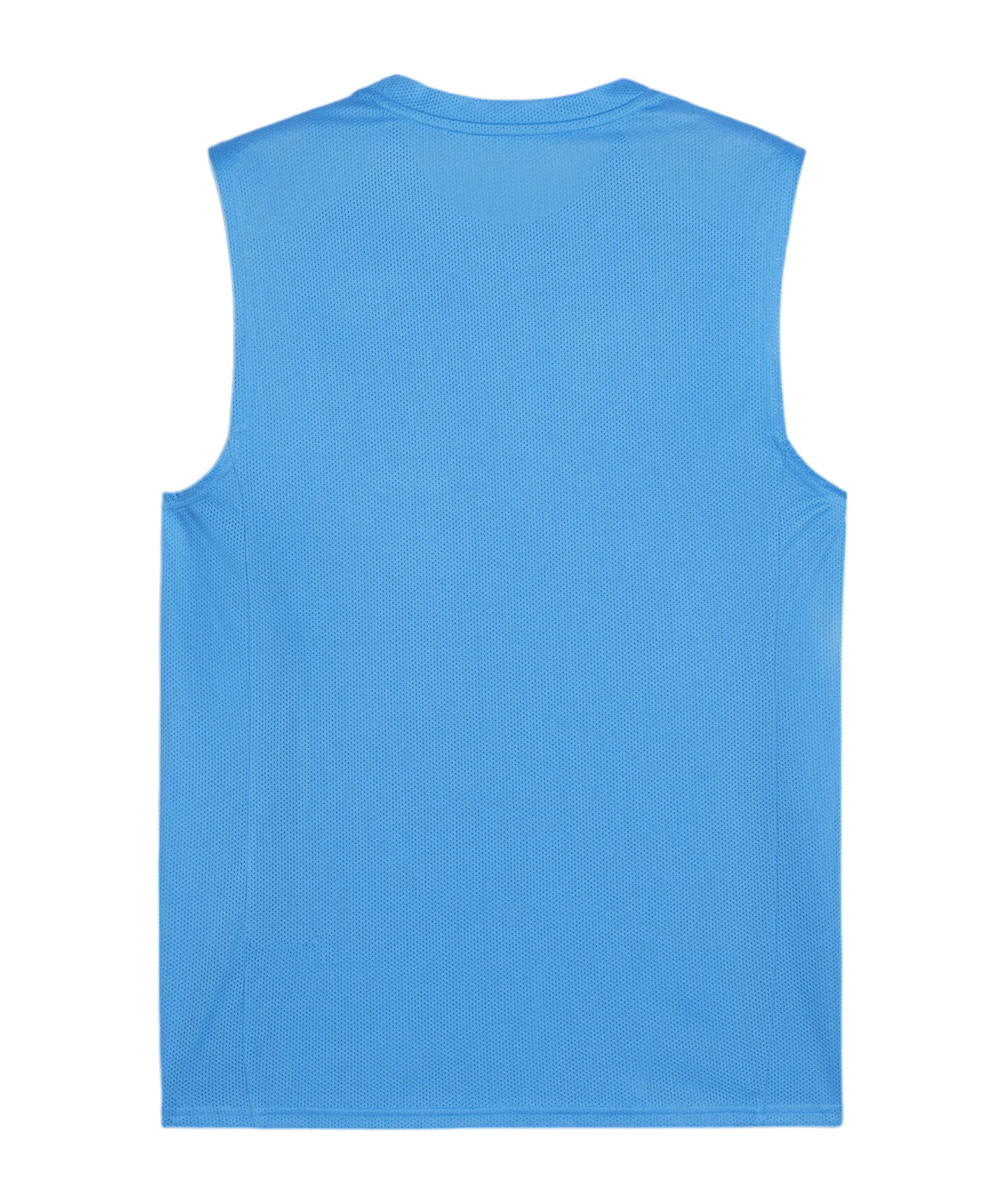 PUMA teamGOAL Tanktop Blau Weiss F02