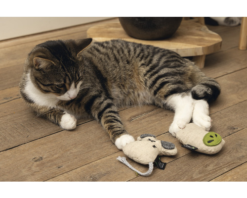 Katten speelgoed beeztees Minus één luiaard langzaam 9 x 9 x 2 cm
