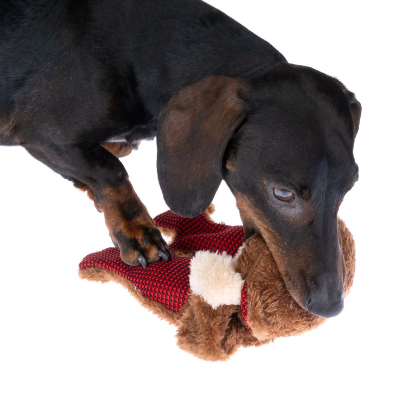 Jouet TIAKI Winkie Monkey pour chien
