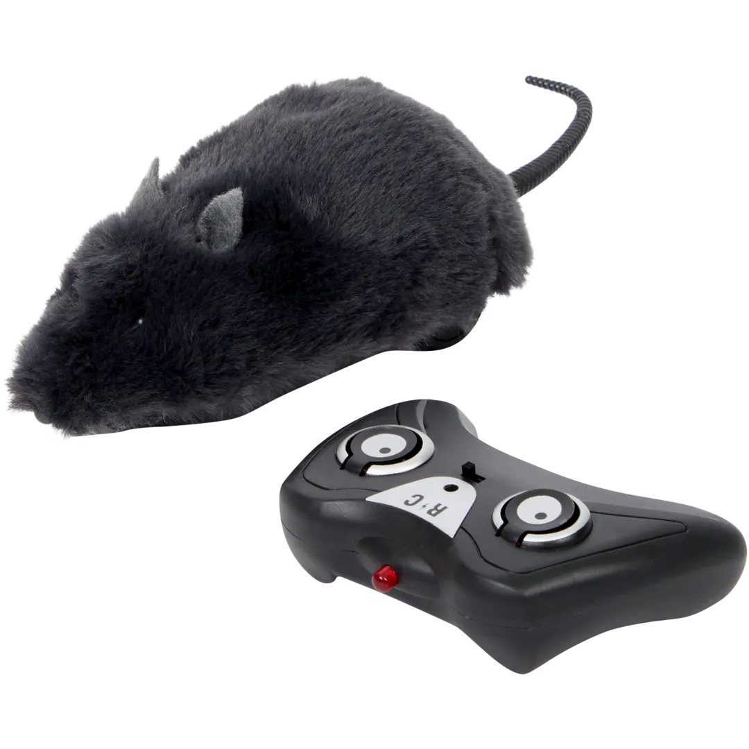 Radiografisch bestuurbare rat 12 cm
