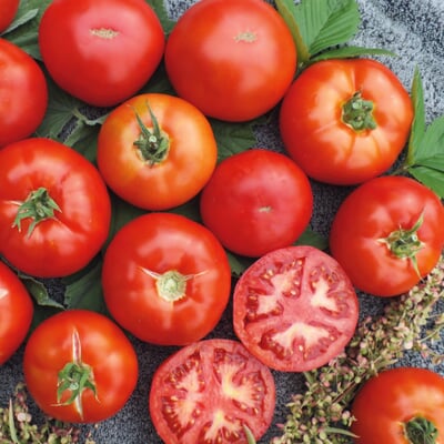 Gemüsesamen Tomaten für den Balkon