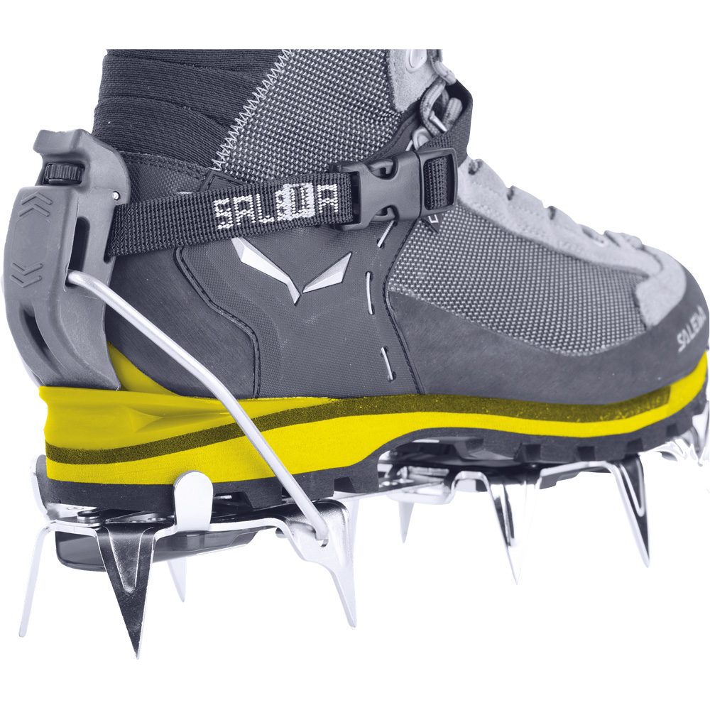 SALEWA Crow GORE-TEX® Bergstiefel Herren cactus