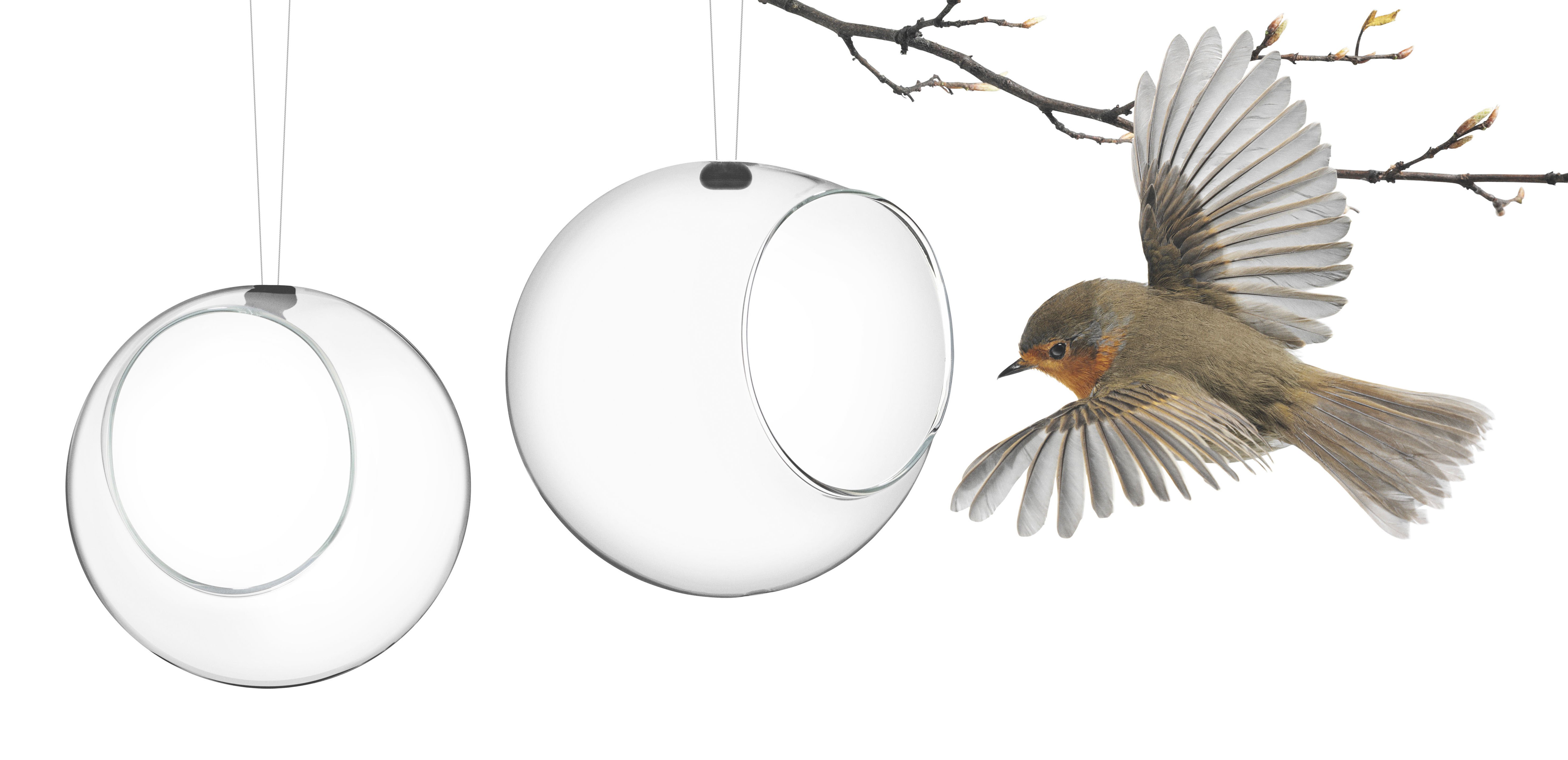 Mangeoire à oiseaux verre | Transparent