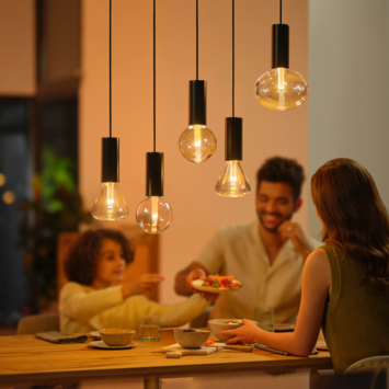 Philips Hue Lightguide Ellipse - wit en gekleurd licht 6W - E27
