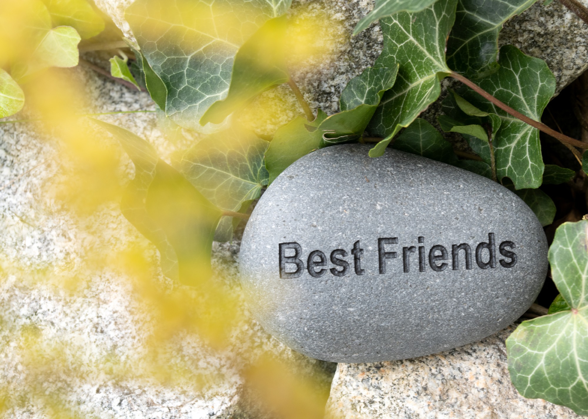 Flusskiesel 'Best Friends', B 10-11 cm, H 3 cm von fischer's lagerhaus
