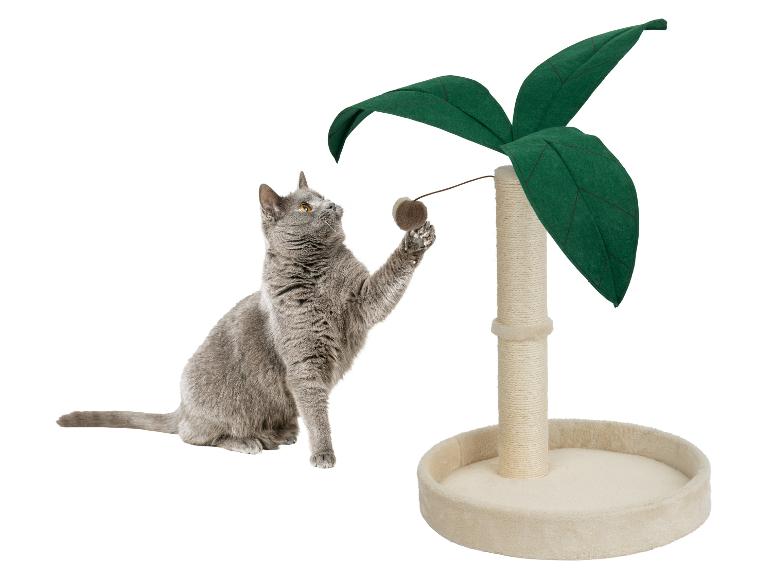 Krabpaal, hangmat of tipitent voor katten
