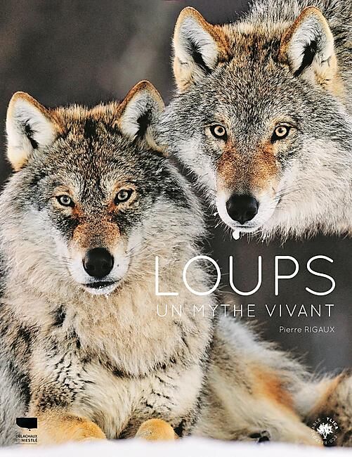 DELACHAUX  NIESTLE - LOUPS UN MYTHE VIVANT