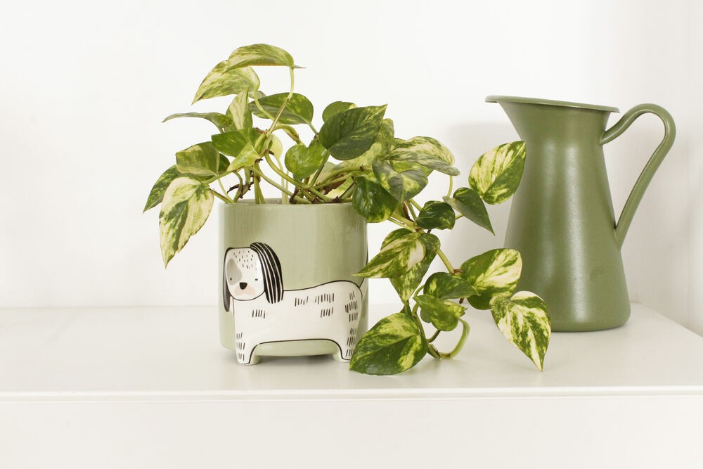 Winkee - Urtepotteskjuler - Height: 40 cm, Diameter: 13 cm