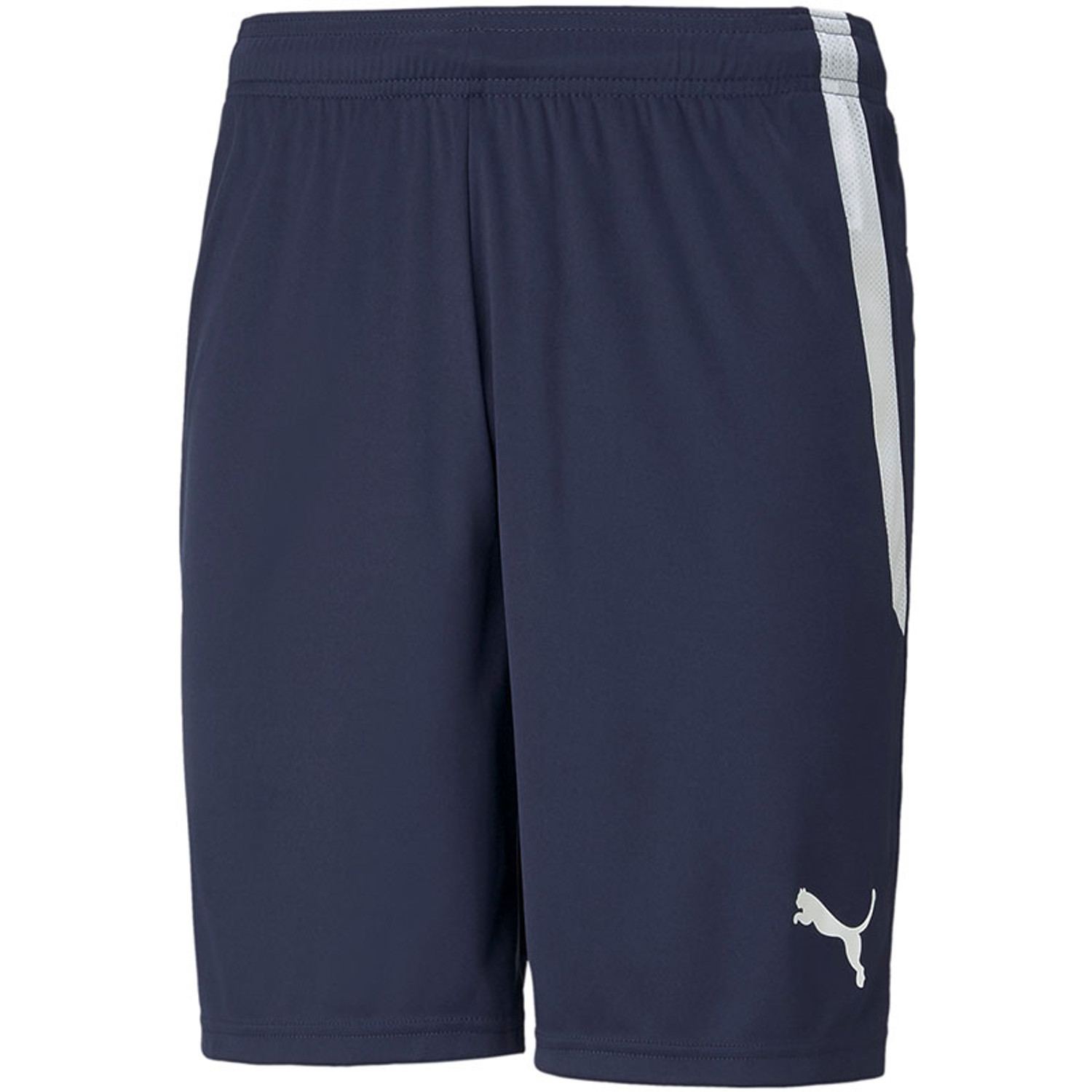 Puma LIGA Trainingsset