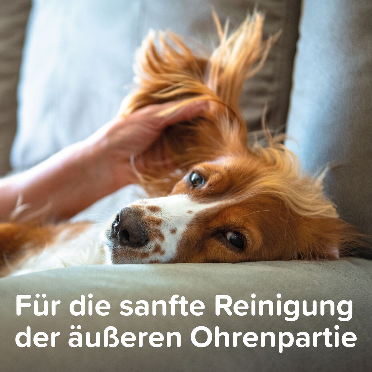 Beaphar Sensitiv Ohrenreiniger 50ml