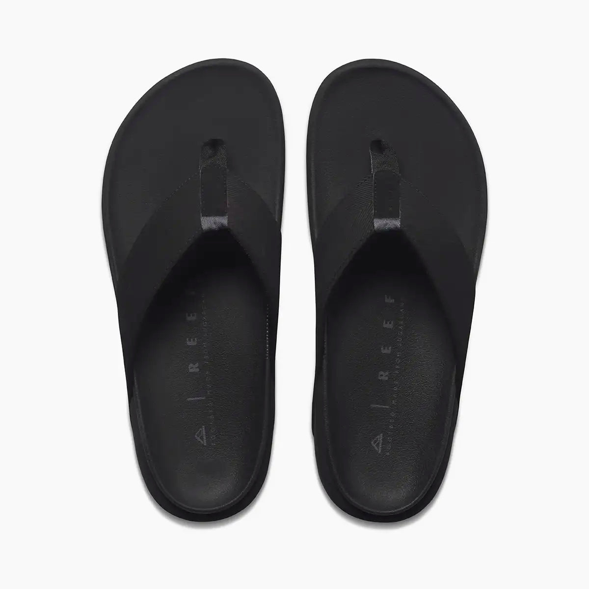 The Raglan Black Gum