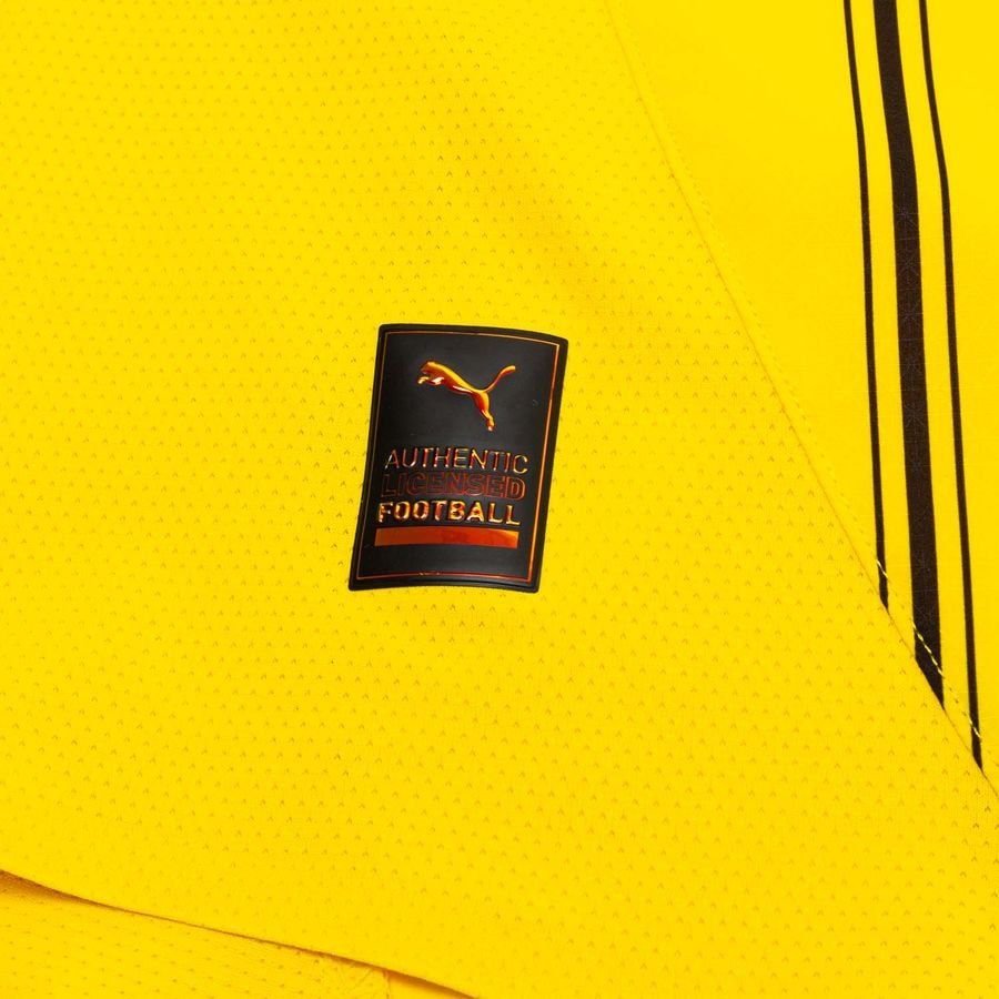 Dortmund Maillot Domicile 2024/25 Authentic