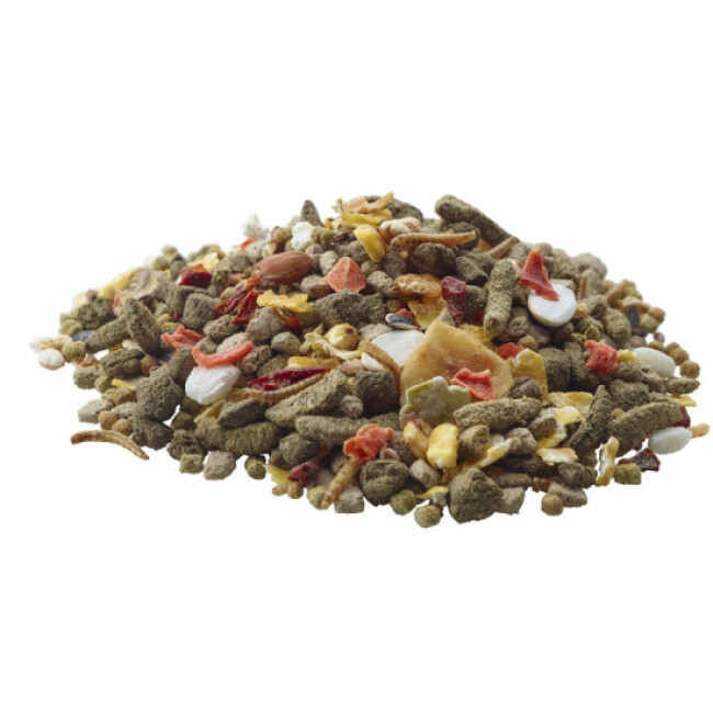 Mélange varié riche en céréales pour gerbilles Nature Gerbil Versele Laga Sachet 700 g