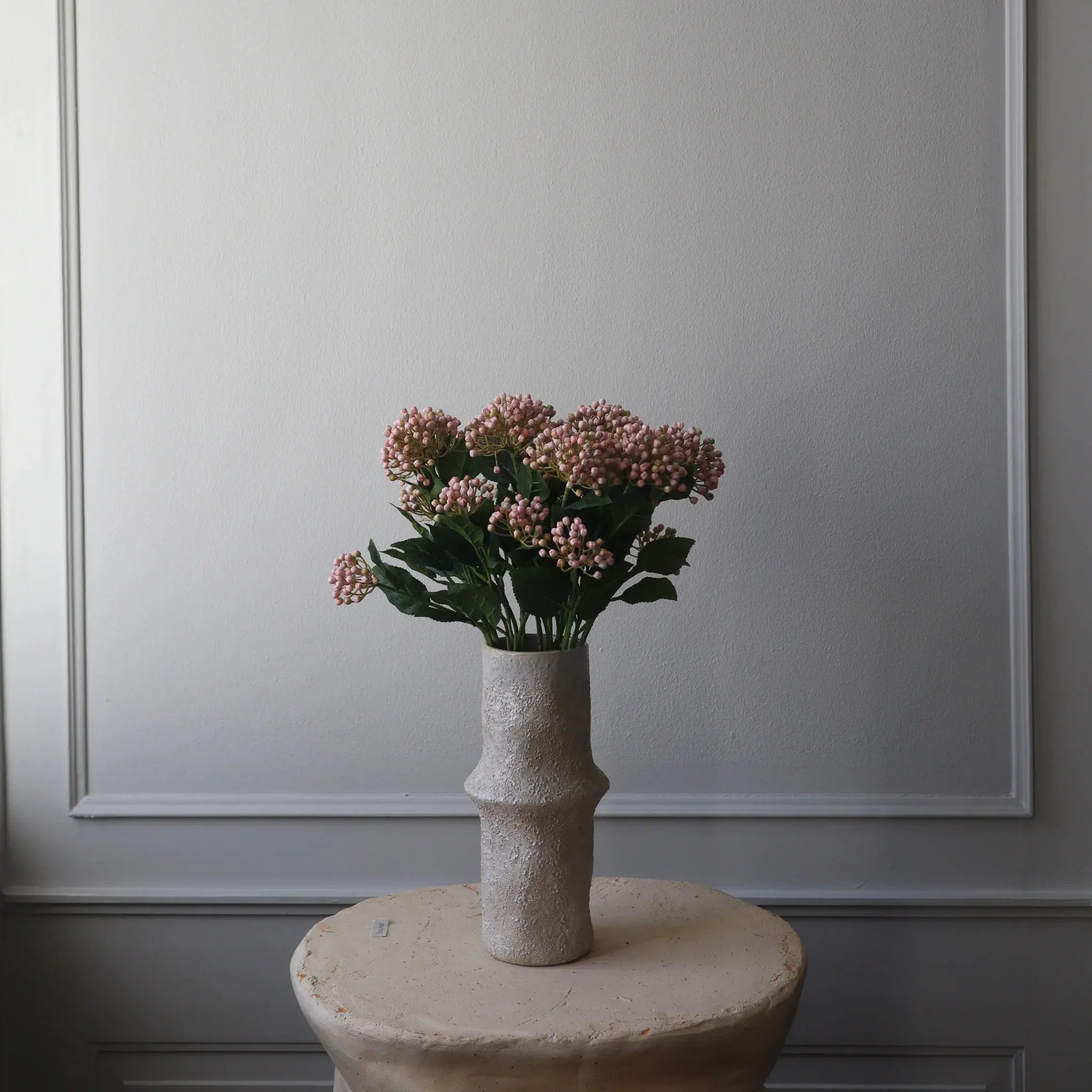 Botané  Hydrangea Berry gren - rosa