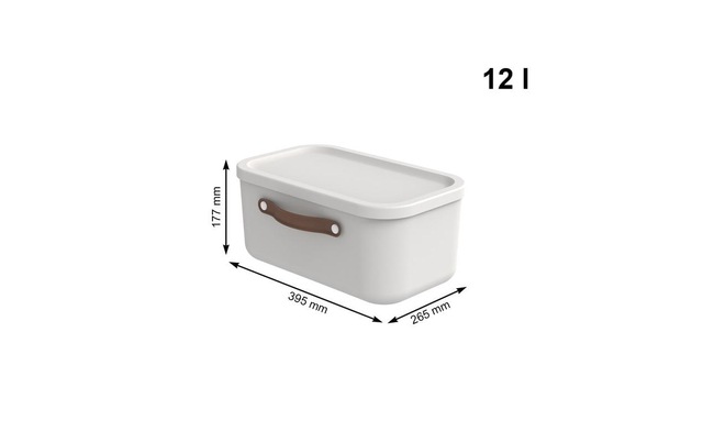 ROTHO Aufbewahrungsbox »Maloja 12 l, Mistletoe«