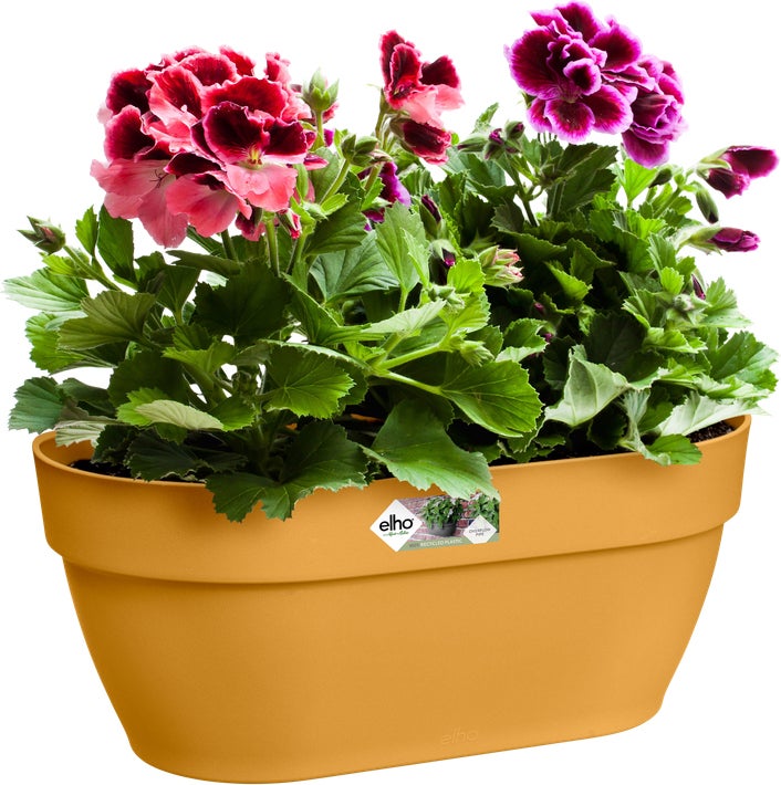 Elho muur plantenbak Vibia Campana geel 35 x 16,2 x 14,8 cm
