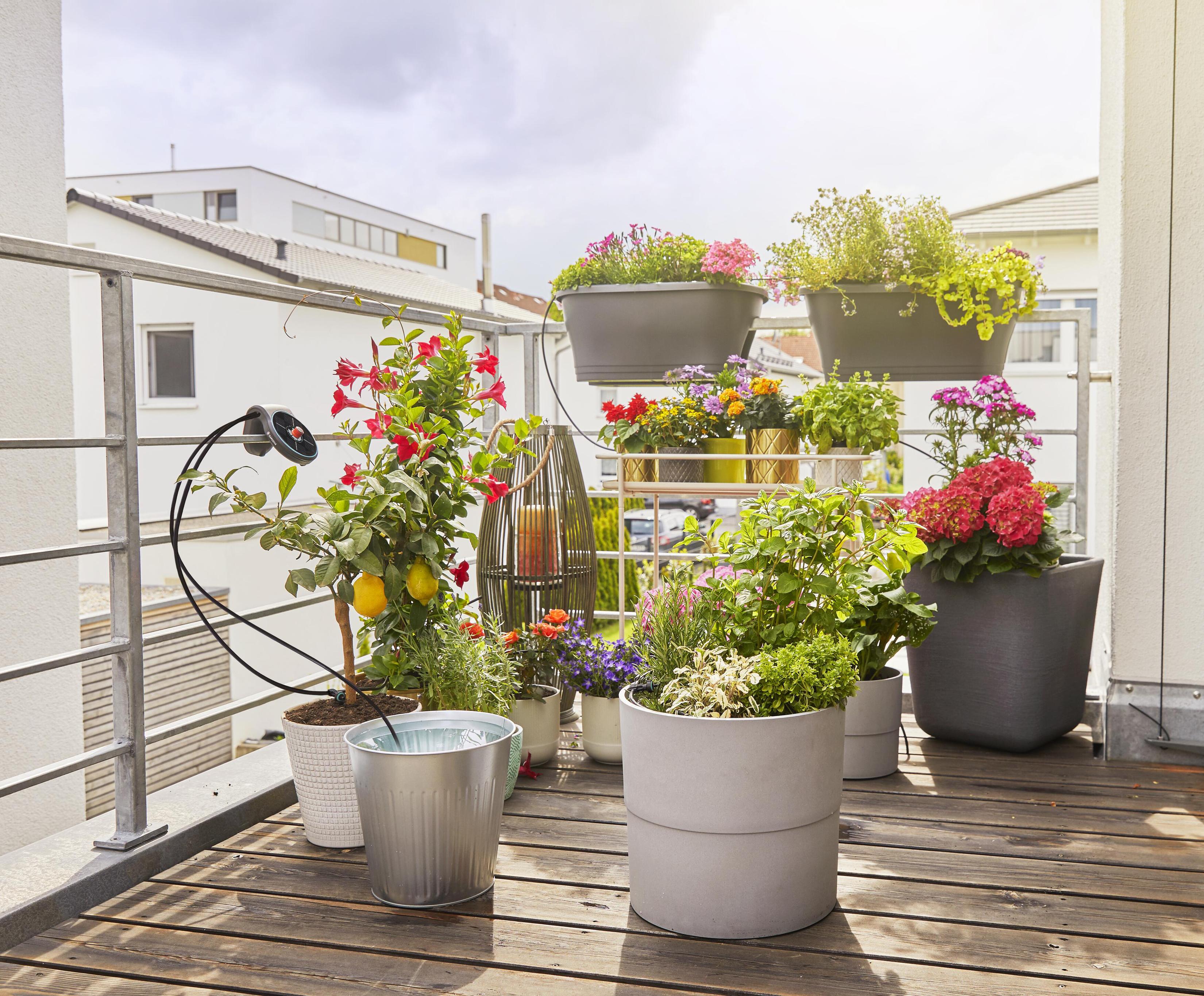 Gardena AquaBloom solcelledrevet vandingssæt