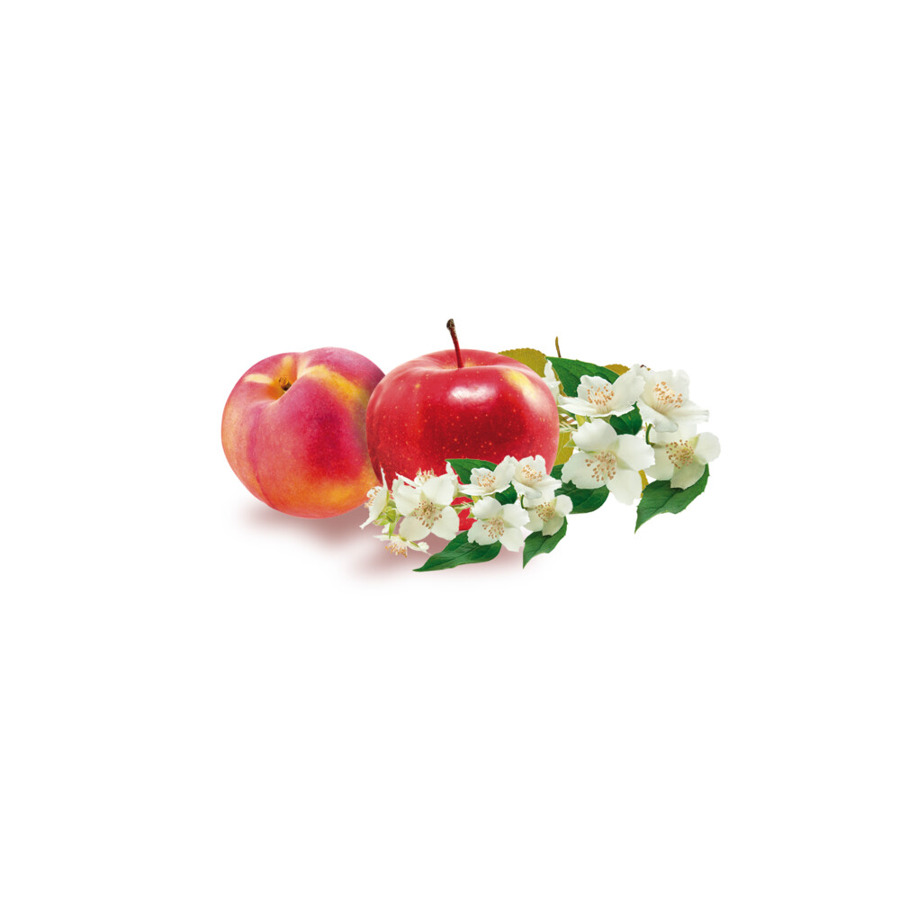 6x Rubson Vochtopnemer Navullingen Sensation Fruit2 x 300 gr