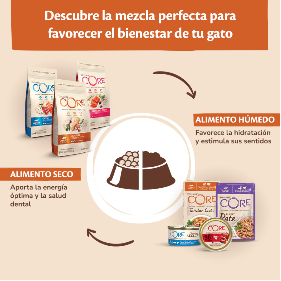 Sachê de 85g de Wellness Core Tender Cuts de frango e pato ao molho para gatos