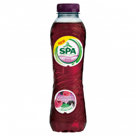 Spa Duo braam en framboos koolzuurvrij klein