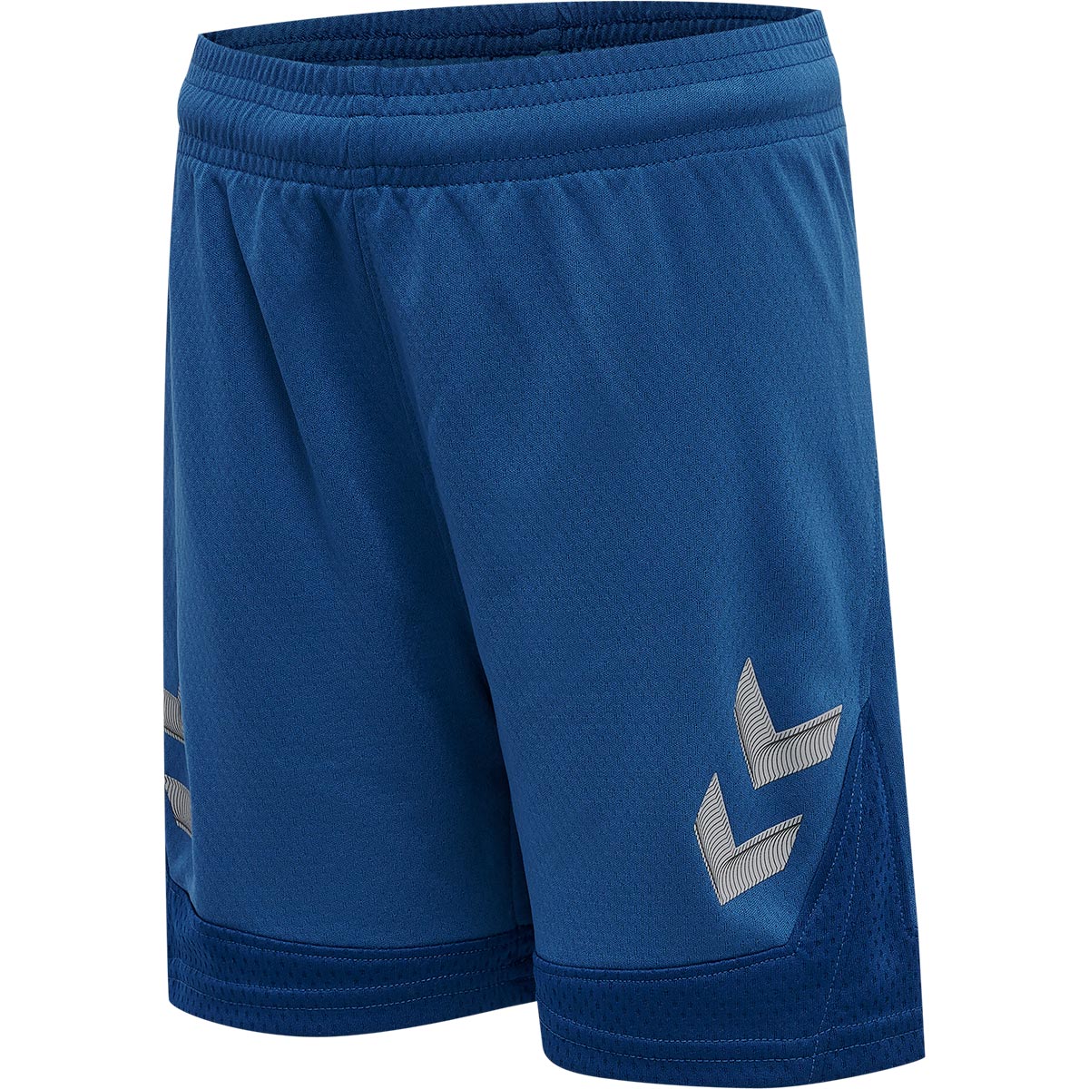 hummel Lead Poly Træningsshorts Børn