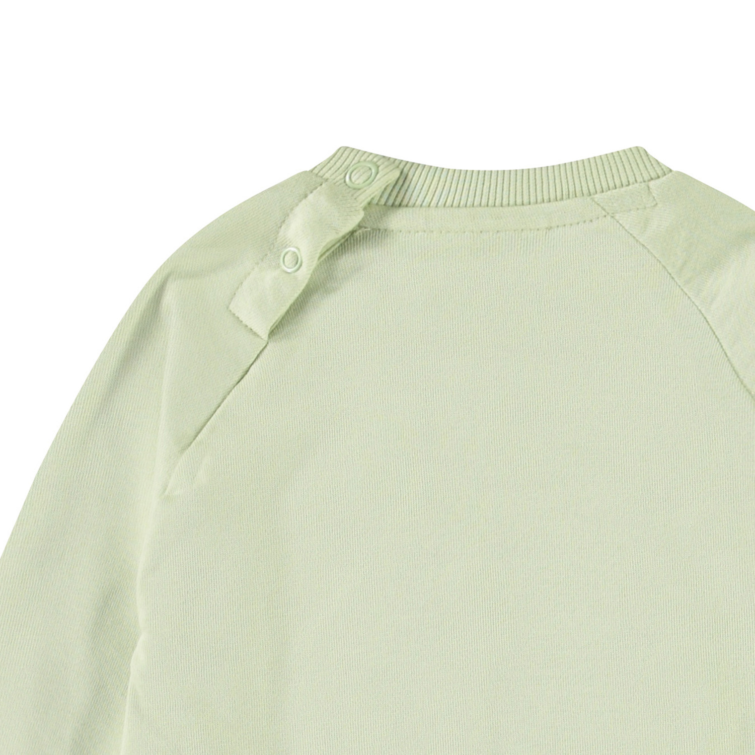 Disc - Misty Green