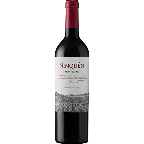 Ninquén