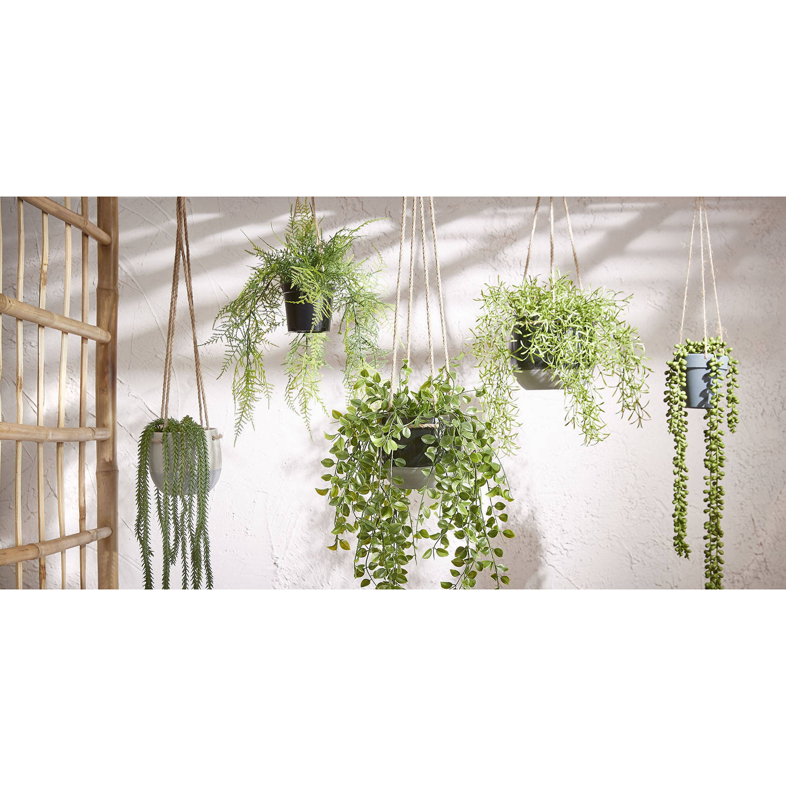Mica Decorations kunstplant Rhipsalis