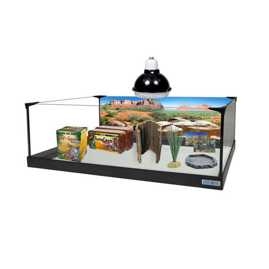 Kit pour tortue terrestre: Terrarium (L80x35xH25cm) équipé