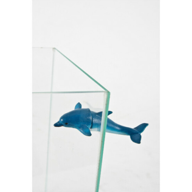 Décoration magnétique Zolux pour aquarium