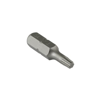 GAMMA schroefbit torx 15 RVS 3 stuks
