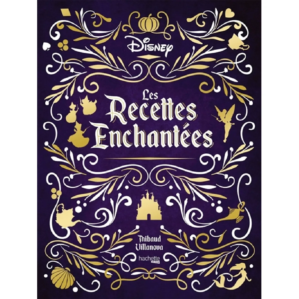 Les recettes enchantées · Occasion